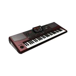 Korg PA1000 Profesional Arranger