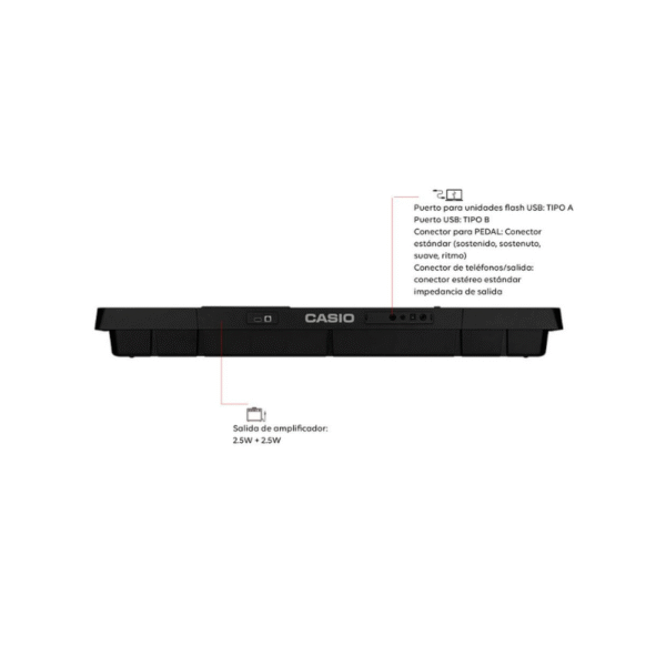 Organo Electronico CASIO – CT-X800C2-ADAP – Negro - Imagen 4